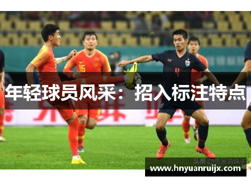 年轻球员风采：招入标注特点